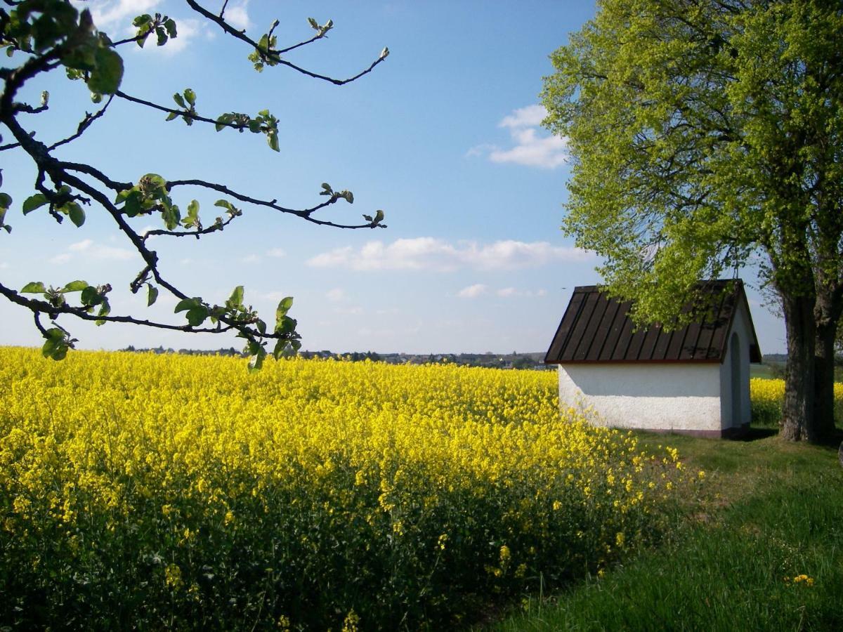 Landhaus Bad Bertrich Εξωτερικό φωτογραφία