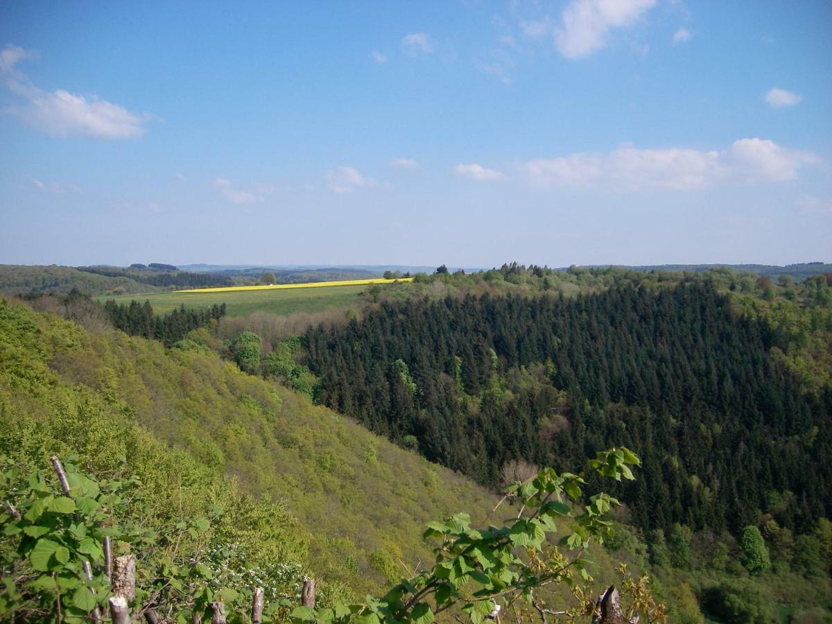Landhaus Bad Bertrich Εξωτερικό φωτογραφία